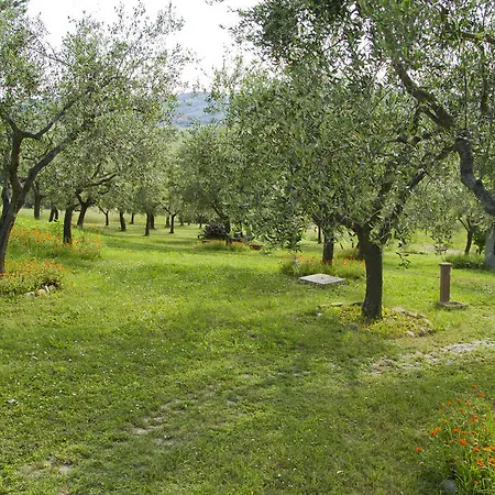Apartment Adriana Sant'Angelo in Lizzola